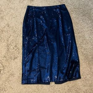 NWT Gap navy sequin skirt. Large.